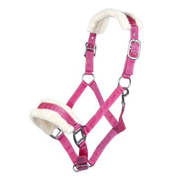 Licol Bischofshofen rembourrage Teddy HKM Licol Bischofshofen rembourrage Teddy HKM