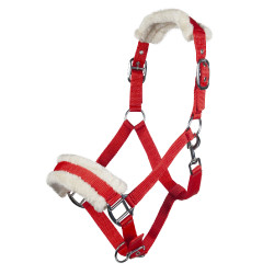 Licol Bischofshofen rembourrage Teddy HKM Rouge