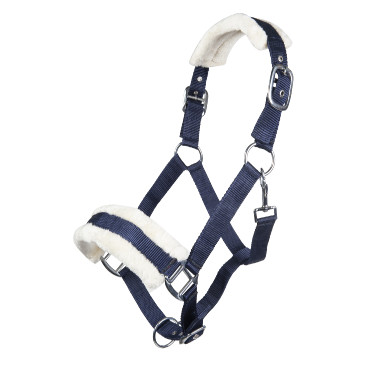 Licol Bischofshofen rembourrage Teddy HKM Licol Bischofshofen rembourrage Teddy HKM