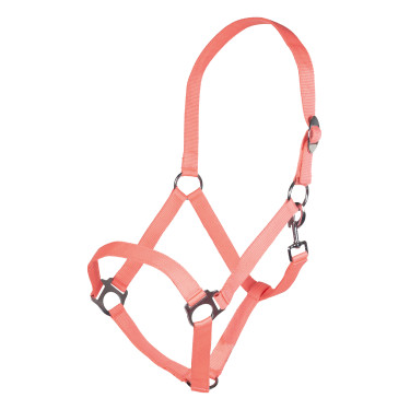 Licol Stars Economy Softice HKM Licol Stars Economy Softice HKM