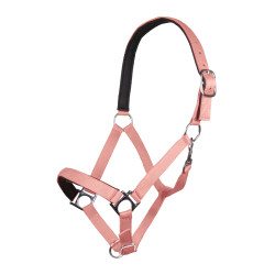 Licol Stars Softice doublure douce HKM Licol Stars Softice doublure douce HKM