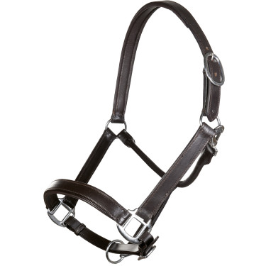 Licol en cuir Economic HKM Licol en cuir Economic HKM