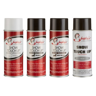 Shapleys Show Touch Up Shapleys Show Touch Up