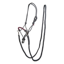 Licol éthologique Strass avec rênes / longes HKM