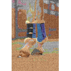 Guêtres Comfort Mesh HKM Bleu foncé