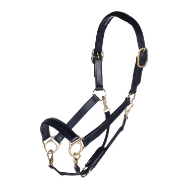 Licol en cuir Gold HKM Licol en cuir Gold HKM