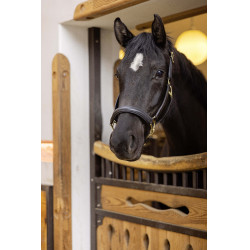 Licol en cuir Gold HKM Noir