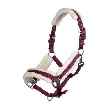 Licol Strong HKM Bordeaux
