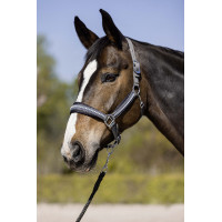 Longe Berry avec mousqueton HKM Gris foncé