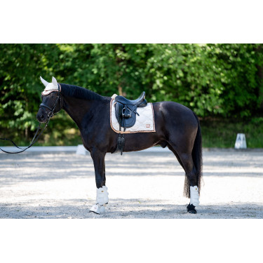 Guêtres de dressage Edinburgh arrière HKM Guêtres de dressage Edinburgh arrière HKM
