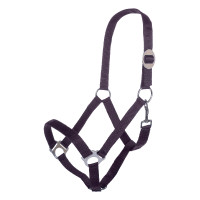 Licol Stars Economy HKM Lilas foncé Violet