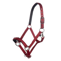 Licol Breakaway 2 HKM Rouge