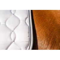 Tapis Dressage Competition HKM Blanc / argenté Tapis Dressage Competition HKM Blanc / argenté