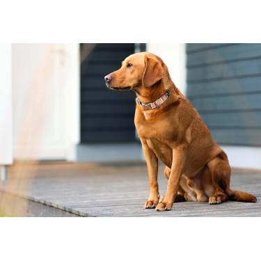 Collier de chien Anam Cara imprimé HKM Collier de chien Anam Cara imprimé HKM