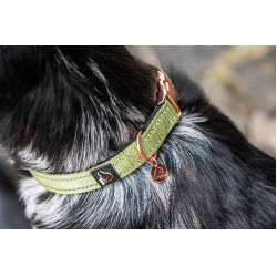 Collier de chien Ida nylon HKM Pistache Vert Collier de chien Ida nylon HKM Pistache Vert