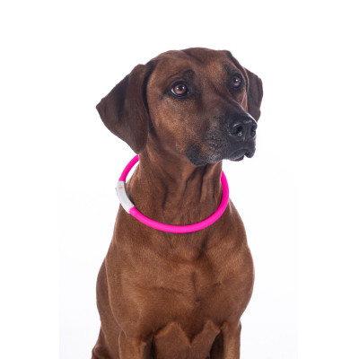 Collier lumineux pour chiens LED HKM Rose