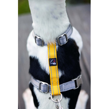 Harnais pour chien Anam Cara Basic nylon HKM Harnais pour chien Anam Cara Basic nylon HKM