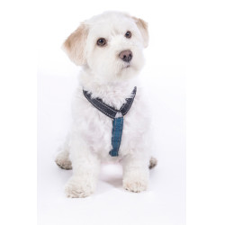 Harnais pour chien Anam Cara Basic nylon HKM Bleu foncé / pétrole Harnais pour chien Anam Cara Basic nylon HKM Bleu foncé / pétrole