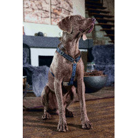 Harnais pour chien Anam Cara Basic nylon HKM Bleu foncé / pétrole Harnais pour chien Anam Cara Basic nylon HKM Bleu foncé / pétrole
