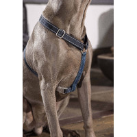 Harnais pour chien Anam Cara Basic nylon HKM Taupe / doré jaune Gris