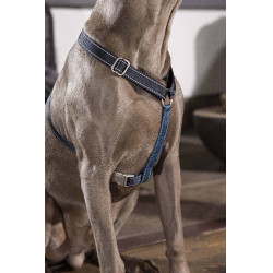 Harnais pour chien Anam Cara Basic nylon HKM Bleu foncé / pétrole Harnais pour chien Anam Cara Basic nylon HKM Bleu foncé / pétrole