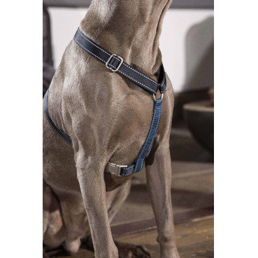 Harnais pour chien Anam Cara Basic nylon HKM Bleu foncé / pétrole Harnais pour chien Anam Cara Basic nylon HKM Bleu foncé / pétrole
