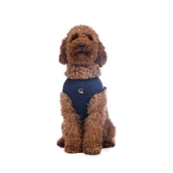 Harnais pour chien Buddy Soft HKM Bleu foncé