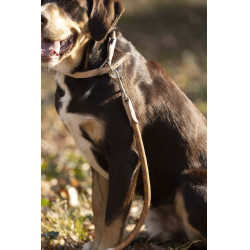 Laisse de dressage pour chien Anam Cara corde HKM Brandy Marron Laisse de dressage pour chien Anam Cara corde HKM Brandy Marron