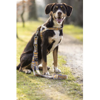 Laisse de dressage pour chiens Anam Cara imprimé HKM Taupe / doré jaune Gris Laisse de dressage pour chiens Anam Cara imprimé HKM Taupe / doré jaune Gris
