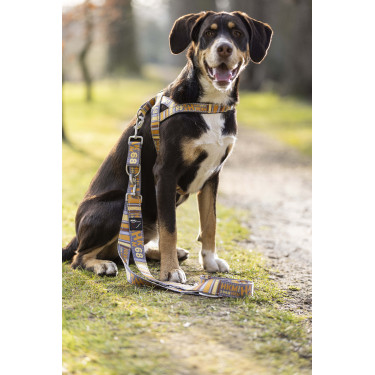 Laisse de dressage pour chiens Anam Cara imprimé HKM Laisse de dressage pour chiens Anam Cara imprimé HKM