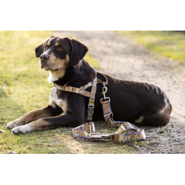 Laisse de dressage pour chiens Anam Cara imprimé HKM Laisse de dressage pour chiens Anam Cara imprimé HKM