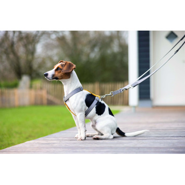 Laisse de dressage pour chien Anam Cara nylon HKM Taupe Marron