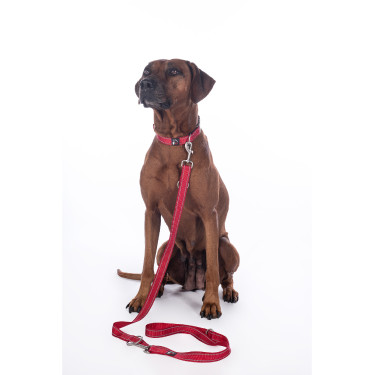 Laisse de dressage pour chien Anam Cara nylon HKM Laisse de dressage pour chien Anam Cara nylon HKM