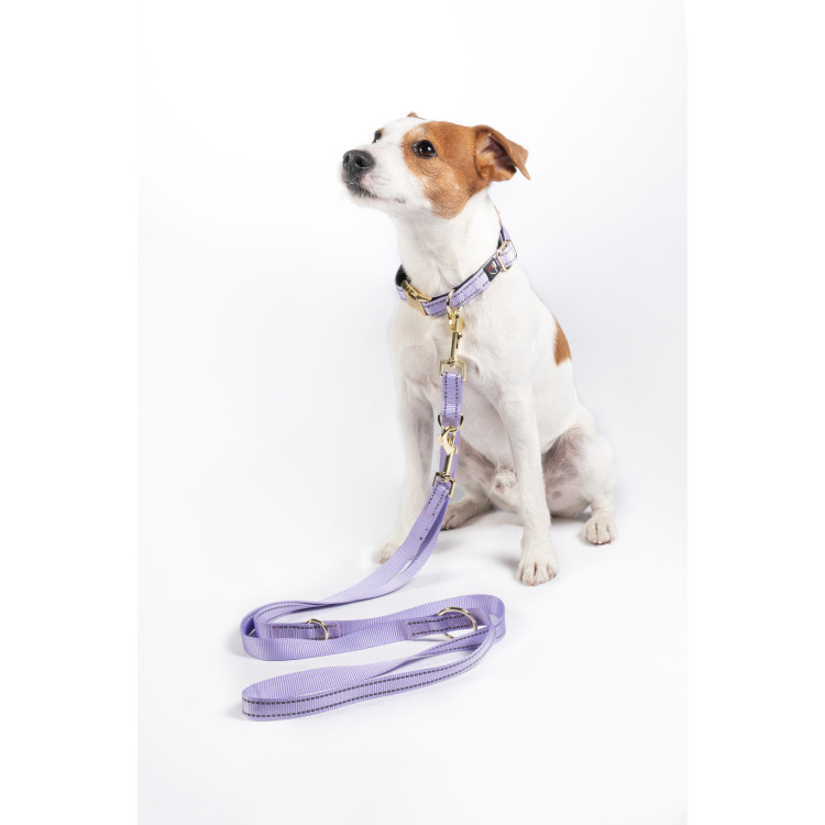 Laisse de dressage pour chiens Qooper nylon HKM Laisse de dressage pour chiens Qooper nylon HKM