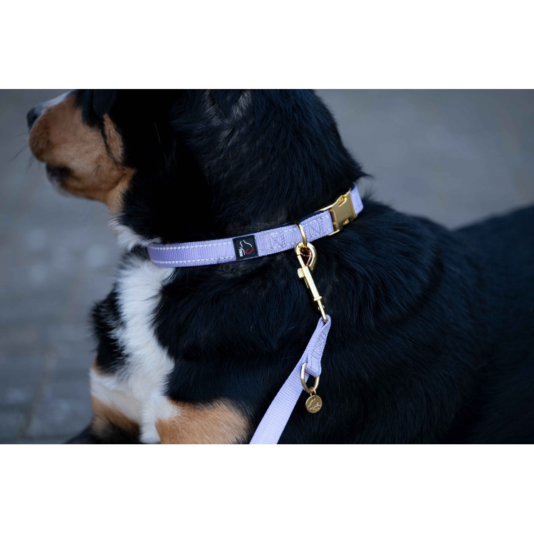 Laisse de dressage pour chiens Qooper nylon HKM Laisse de dressage pour chiens Qooper nylon HKM