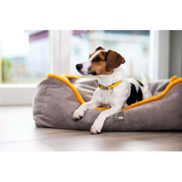 Lit pour chien Anam Cara Comfort HKM Taupe / doré jaune Gris