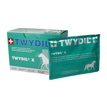 Twydil X Twydil X