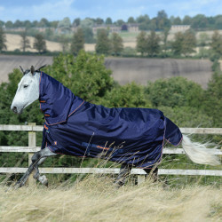 Couvre-cou Bucas Therapy Turnout Neck Marine / orange Bleu