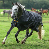 Couverture Bucas Irish Turnout High Neck Extra 300g Noir / doré Couverture Bucas Irish Turnout High Neck Extra 300g Noir / doré