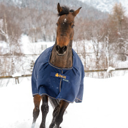 Couverture Bucas Irish Turnout Extra 300g 1200D Marine / doré Bleu Couverture Bucas Irish Turnout Extra 300g 1200D Marine / doré Bleu