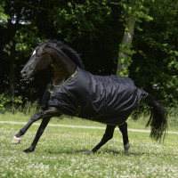 Couverture Bucas Irish Turnout Medium 150g Noir / doré
