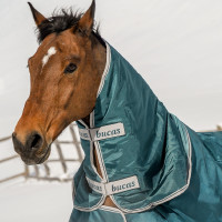 Couvre-cou Bucas Atlantic Combi Neck 300g Vert