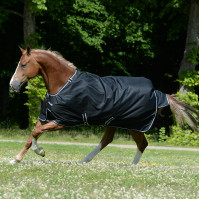 Couverture Bucas Trot Turnout 200g Noir / blanc Couverture Bucas Trot Turnout 200g Noir / blanc