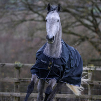 Couverture Bucas Trot Turnout 200g Noir / blanc Couverture Bucas Trot Turnout 200g Noir / blanc