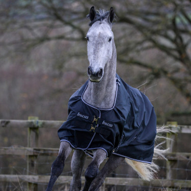 Couverture Bucas Trot Turnout 200g Couverture Bucas Trot Turnout 200g