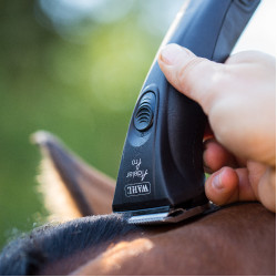 Tondeuse sans fil Wahl Adelar Pro