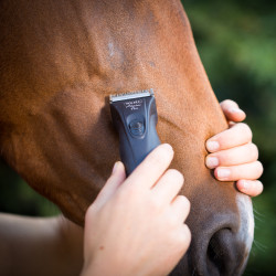 Tondeuse sans fil Wahl Adelar Pro