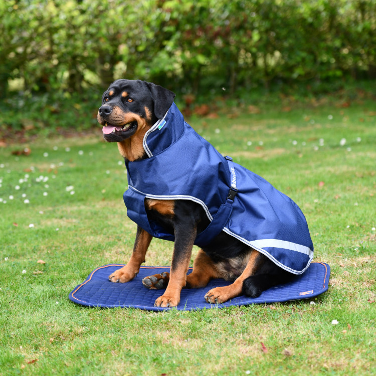 Tapis pour chien Bucas Therapy