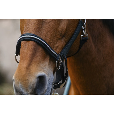Licol nylon Equithème Domino Licol nylon Equithème Domino