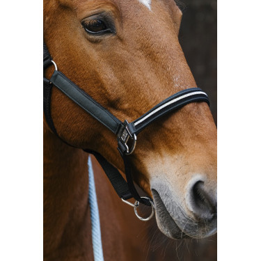 Licol nylon Equithème Domino Licol nylon Equithème Domino